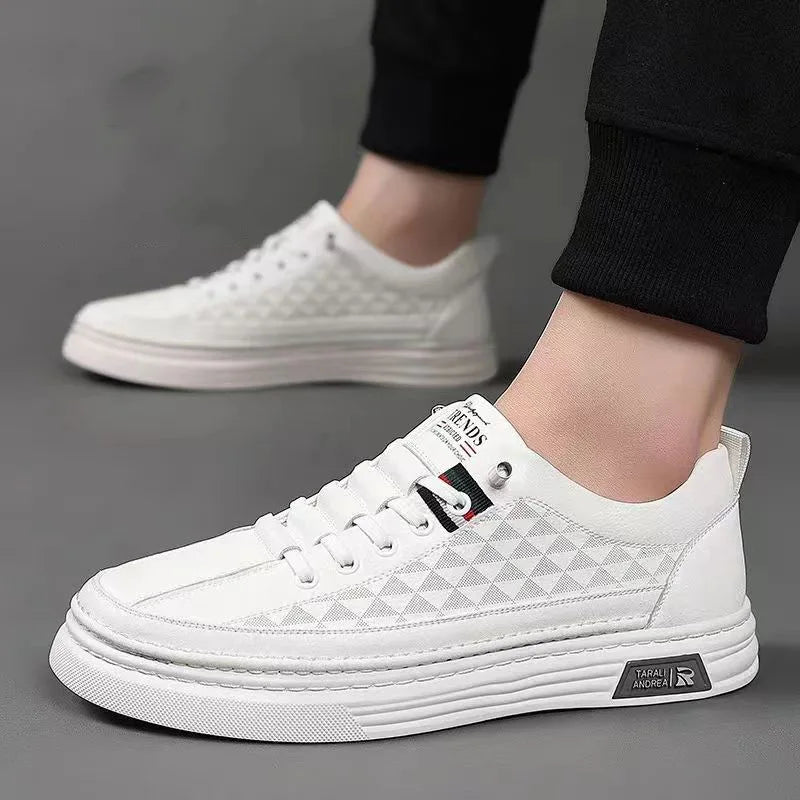 Tênis Casual Italian Ecke - Edição Limitada